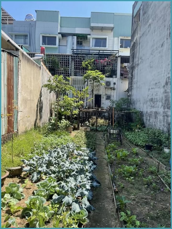 Mặt Tiền Công Viên Hoà Xuân 119m² - Sổ Đỏ Vuông Vắn, Giá 10.7 Tỷ