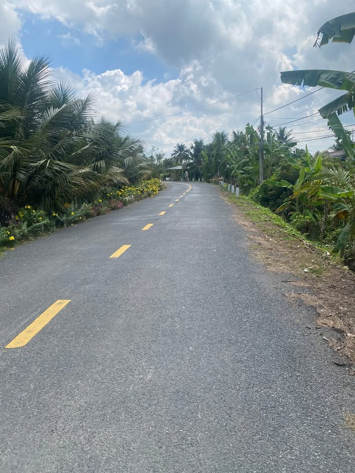 Bán đất Bàu Bàng 1.341m² mặt tiền ĐX-01 - Sổ đỏ chính chủ