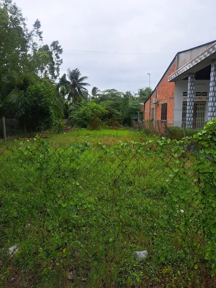 Đất nền Cai Lậy 250m² giá 999 triệu - Tiềm năng tăng giá vượt trội!