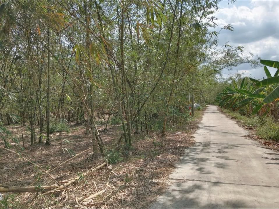 Đất nền Gia Tân 2, Thống Nhất 10000m² - Sổ đỏ chính chủ