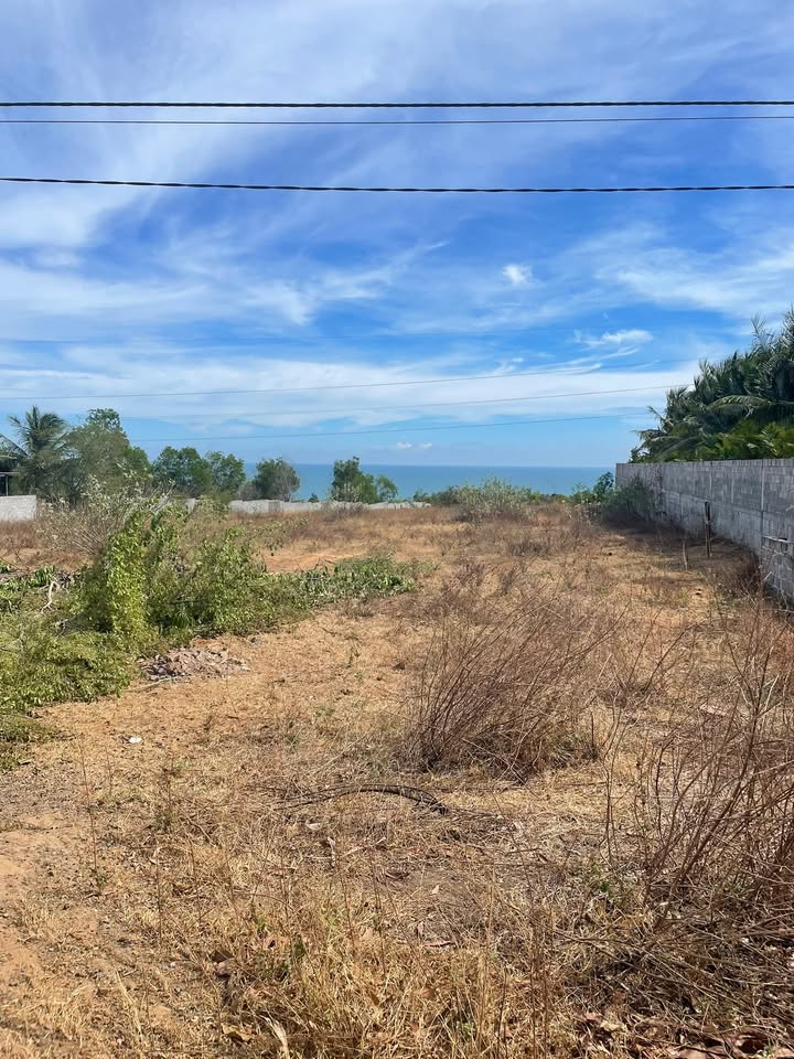 Đất Biển Phan Thiết 1000m² - Sổ Đỏ Sẵn Sàng, View Biển Trọn Vẹn