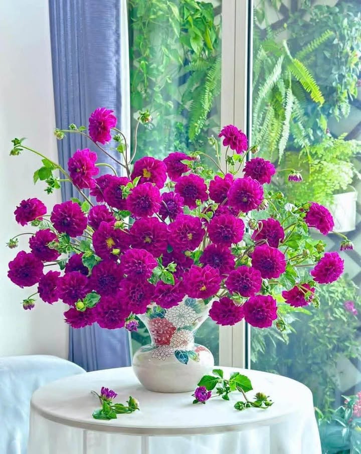 Bán Căn hộ Tập thể Bắc Thành Công 100m² Ba Đình - Full Nội thất, Ô tô đỗ cửa