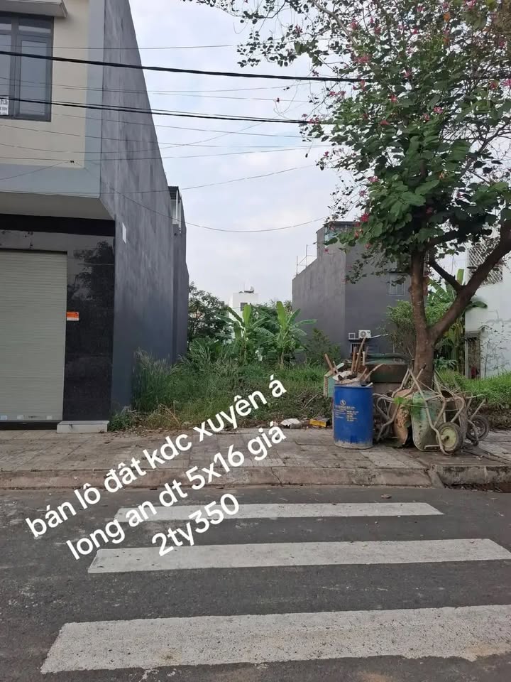 Đất nền KDC Xuyên Á Đức Hòa 80m² 2.35 tỷ - Sổ hồng chính chủ!