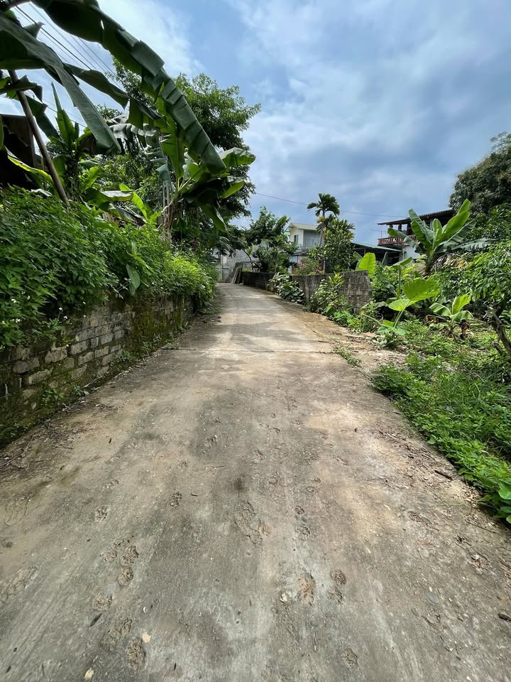 Bán Đất Tuyên Quang 170m² - Thổ Cư Sẵn, Đất Vườn Lý Tưởng, Giá 1.4 Tỷ