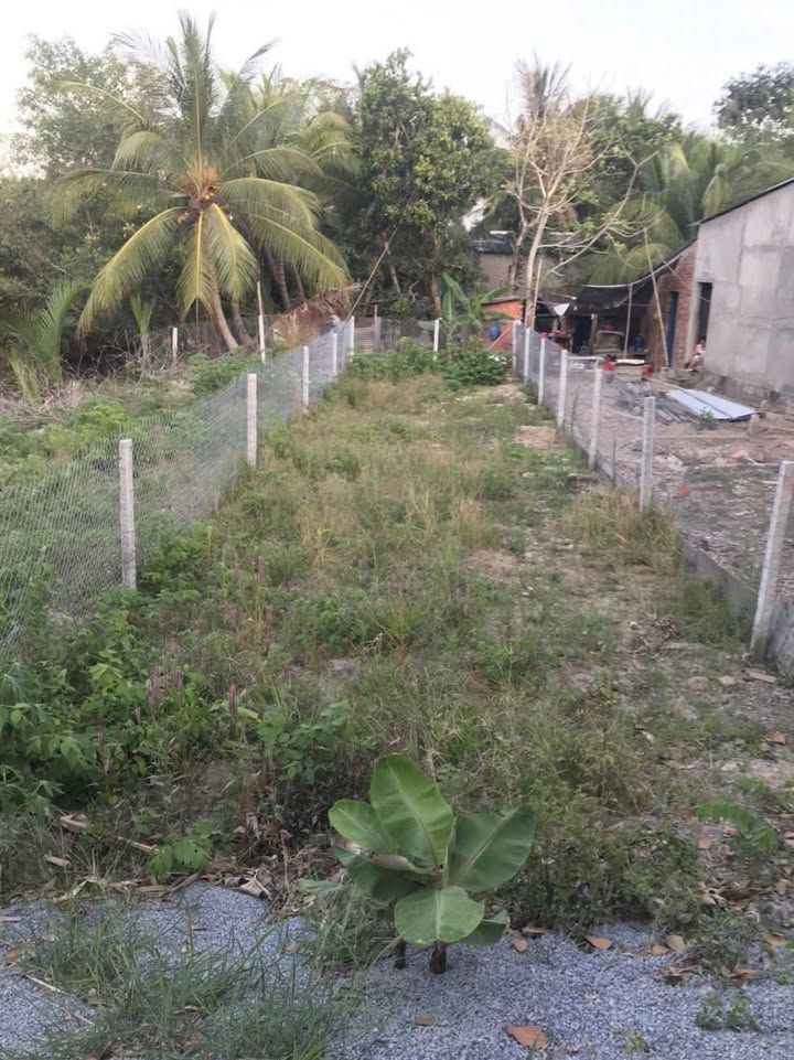 Đất nền Cần Giờ 119m² giá 285 triệu - Tiềm năng tăng giá vượt trội!