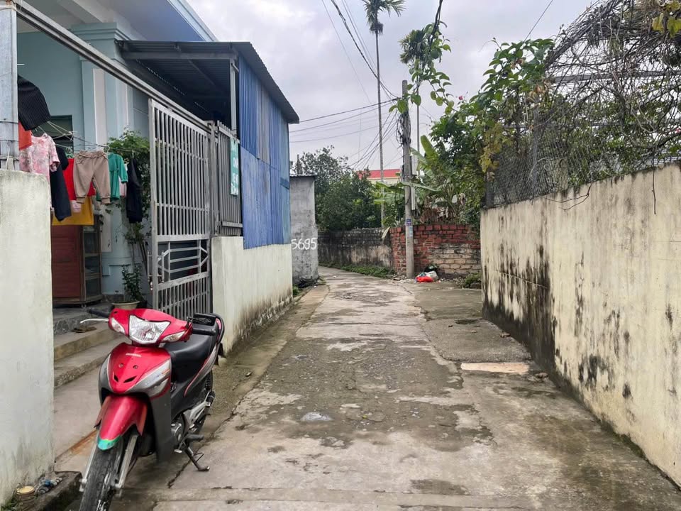 Bán Đất Nền Quảng Thanh, Hải An 75m² - Ô Tô Tận Nơi, Giá Hơn 9 Tỷ