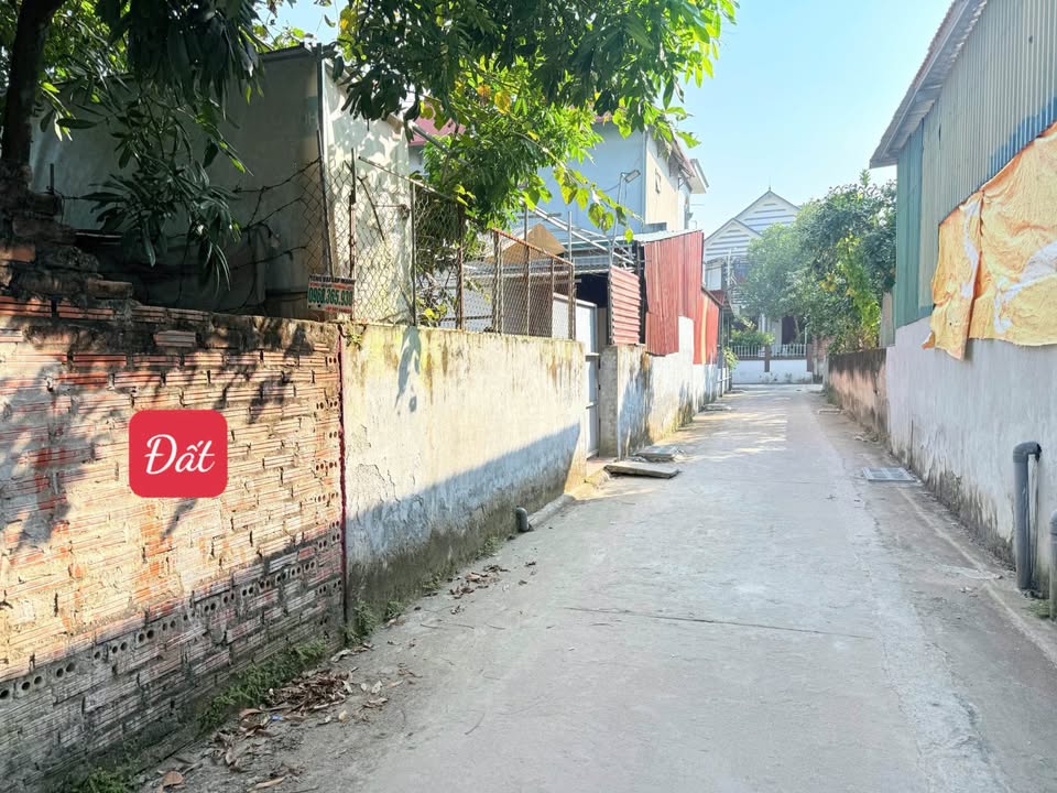 Đất nền Phúc Thọ 113m² - Sổ đỏ sẵn sàng, giá đầu tư tốt