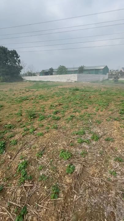 Đất Nền Phú Lương 2500m² - 400m² Thổ Cư, Sẵn Sàng Tách Thửa