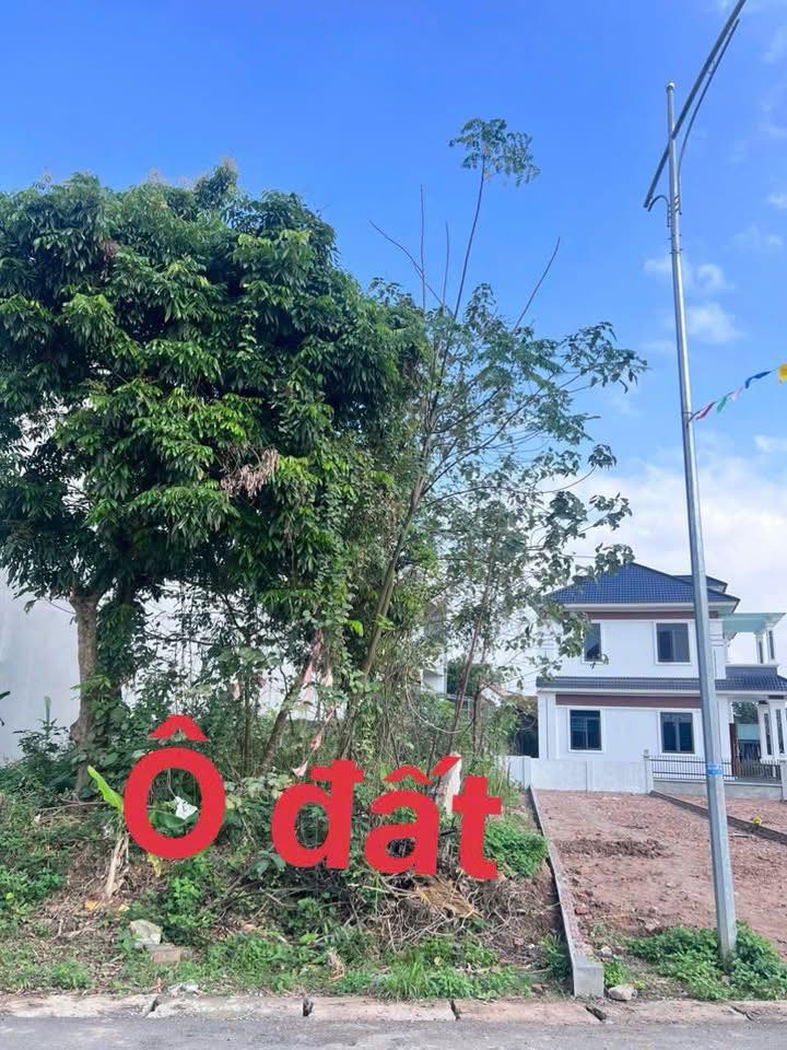 Đất nền Tỉnh lộ 316G Tam Nông 129m² - Tiềm năng tăng giá cao!