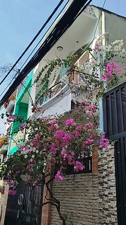 Nhà Mặt Tiền Chợ Bà Chiểu, Phan Đăng Lưu, 69m² - Giá Tốt Nhất