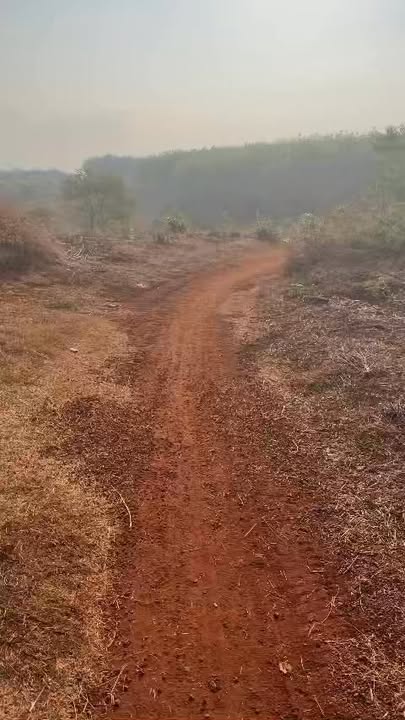 Bán Đất Vườn Phú Riềng Bình Phước 3.7ha Giá Tốt - Sẵn Sổ