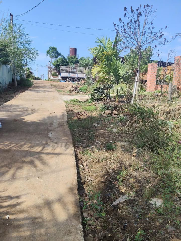 Đất nền Cư Jút 240m² 490 triệu - Sổ đỏ chính chủ, nở hậu đẹp!