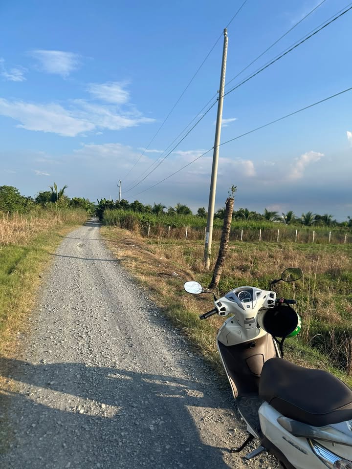 Đất Thổ Cư 949m² Đồng Tháp - Sổ Đỏ Sẵn Sàng, Vị Trí Đắc Địa