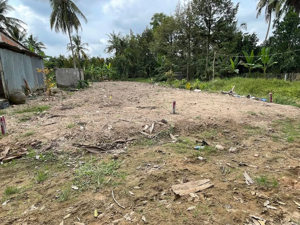 Đất nền Cẩm Sơn Cai Lậy 175m² giá 350 triệu - Đường to ô tô