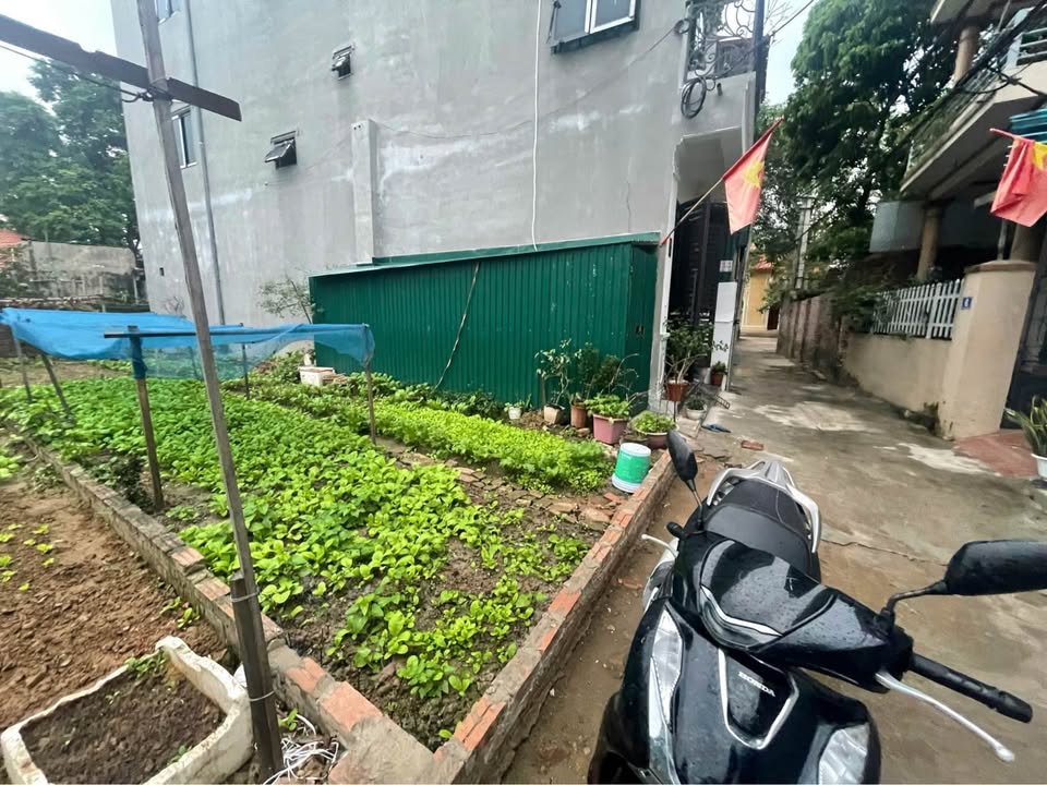 Đất nền Kim Sơn Gia Lâm 55m² giá 3.2 tỷ - Tiềm năng tăng giá vượt trội!