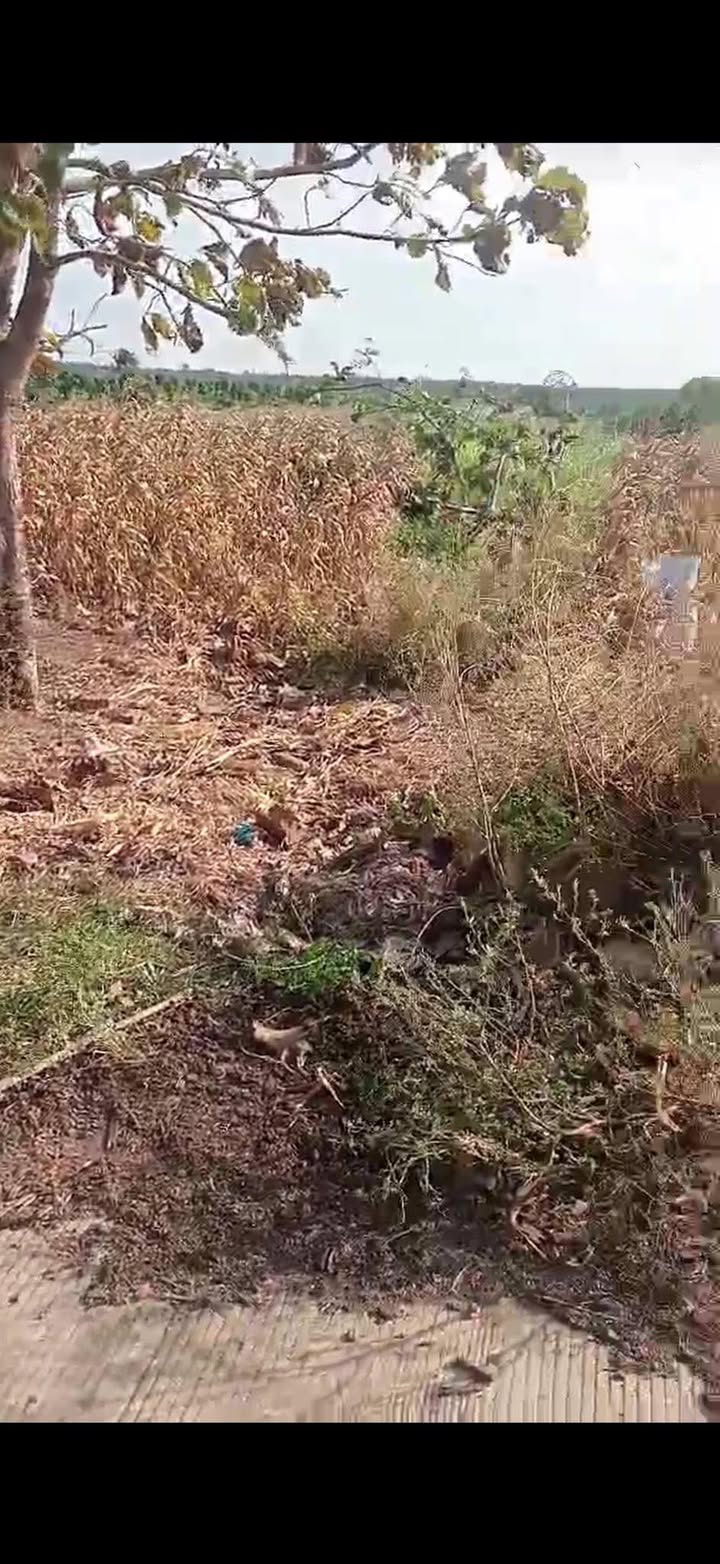 Đất Vườn Krông Ana 45.000m² - 8.125 Tỷ - Đầu Tư Dài Hạn