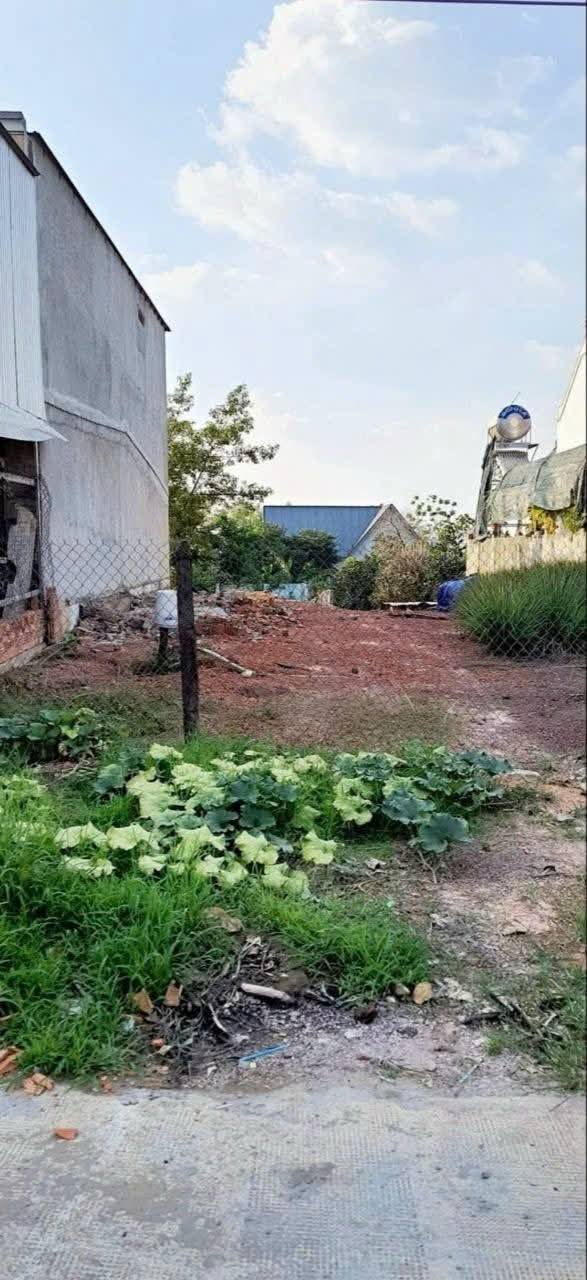 Đất nền Chơn Thành 180m² mặt tiền DT 741 - Tiềm năng tăng giá!