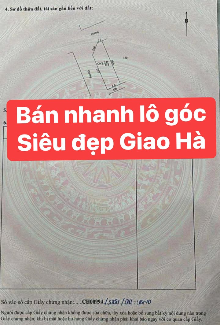 Đất nền Giao Hà - Giao Thủy 112m² - Lô góc vị trí đắc địa, pháp lý rõ ràng!