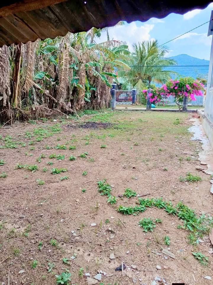 Đất nền Hòa Sơn, Krông Bông - 300m² Sổ hồng riêng, giá chỉ 399 triệu