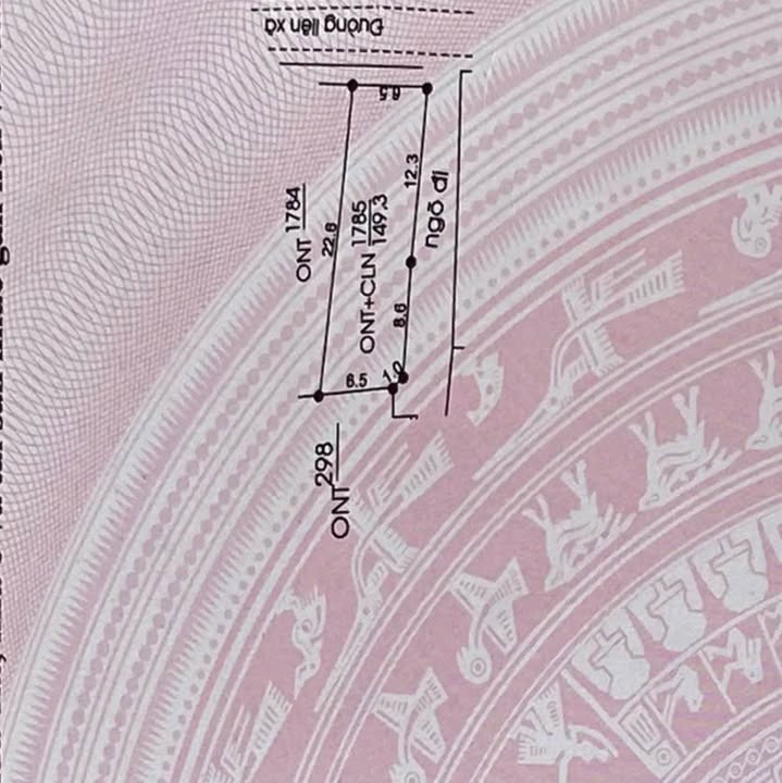 Đất nền Đường Đông Thịnh TP Thanh Hóa 150m² - Sổ đỏ chính chủ!