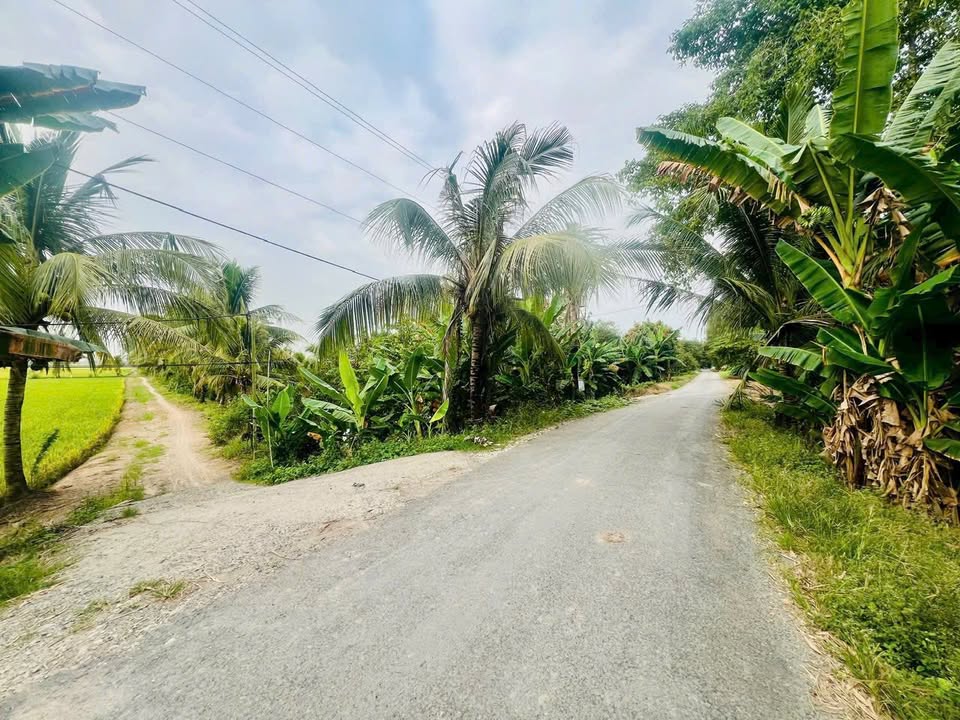 Bán 34.000m² Đất Lúa Vĩnh Nhuận, Châu Thành - Giá 1xx Triệu/Công