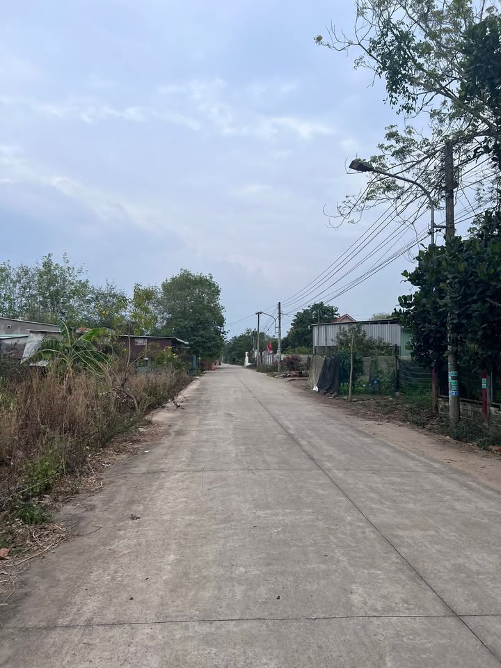 Đất nền An Long, Phú Giáo 250m² - Pháp lý rõ ràng!