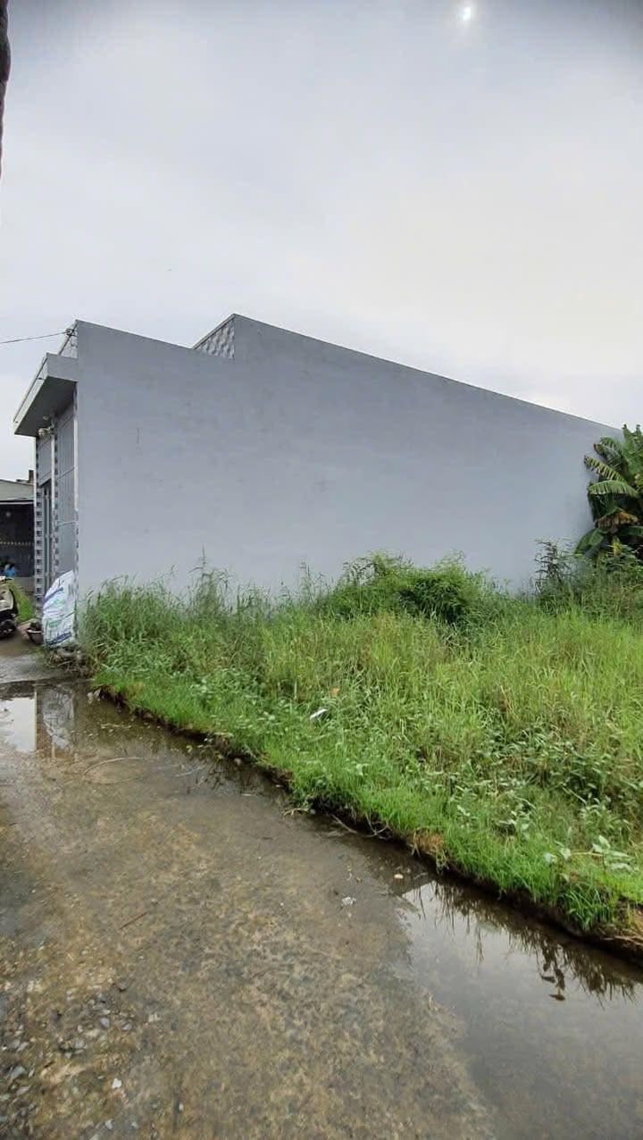 Nhà cấp 4 Ấp 7 Nhựt Chánh, Bến Lức - 90m² Giá 500 triệu, Sẵn Sàng Dọn Vào Ở Ngay!