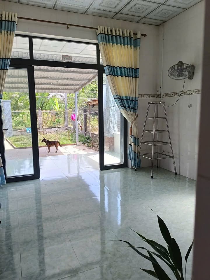 Đất nền Bình Đại Bến Tre 506m² - Tặng nhà cấp 4, đường ô tô!