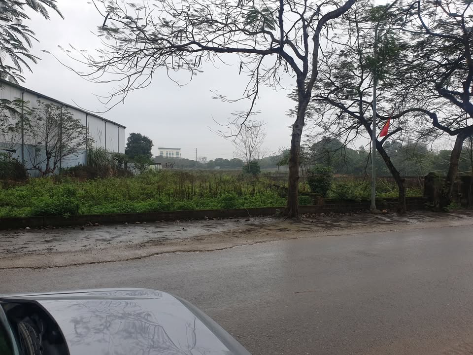 Đất Nền Phú Cát, Quốc Oai 180m² - Trục Chính Kinh Doanh, Giá 36 Triệu/m²