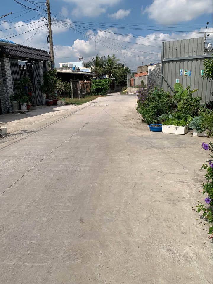 Đất Hóc Môn 100m² Sổ Vuông Sẵn Sàng - Hơn 3 Tỷ