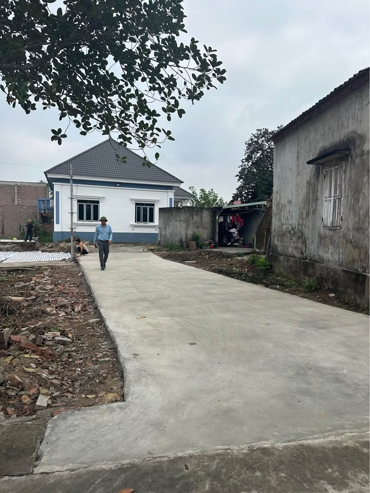 Đất nền Kiều Hạ 2, An Dương - 50m² giá chỉ hơn 900 triệu, ô tô vào tận nơi