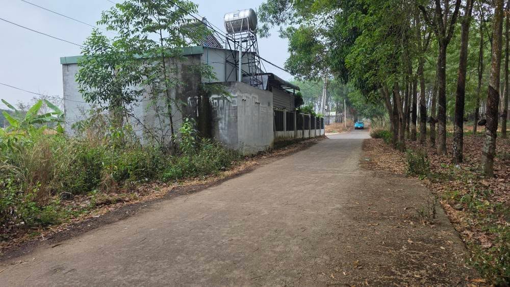 Đất nền Tiến Thành - 144m² - 999 triệu - Gần Trần Hưng Đạo