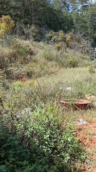 Bán đất Phường 10 Đà Lạt 600m² giá 1.85 tỷ - View nghỉ dưỡng lý tưởng