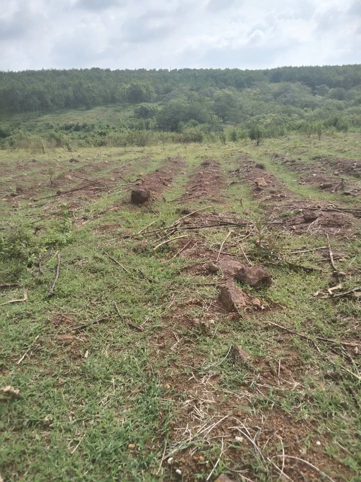 Đất nền Thanh An 252m² giá 470 triệu - Sổ hồng chính chủ!