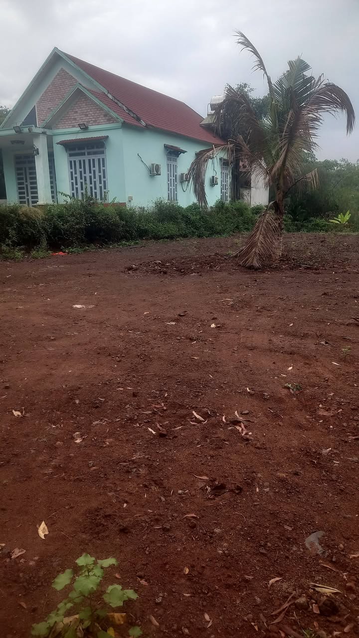 Bán Đất Nền 195m² Sổ Hồng Riêng Gần Tỉnh Lộ 763, Long Khánh