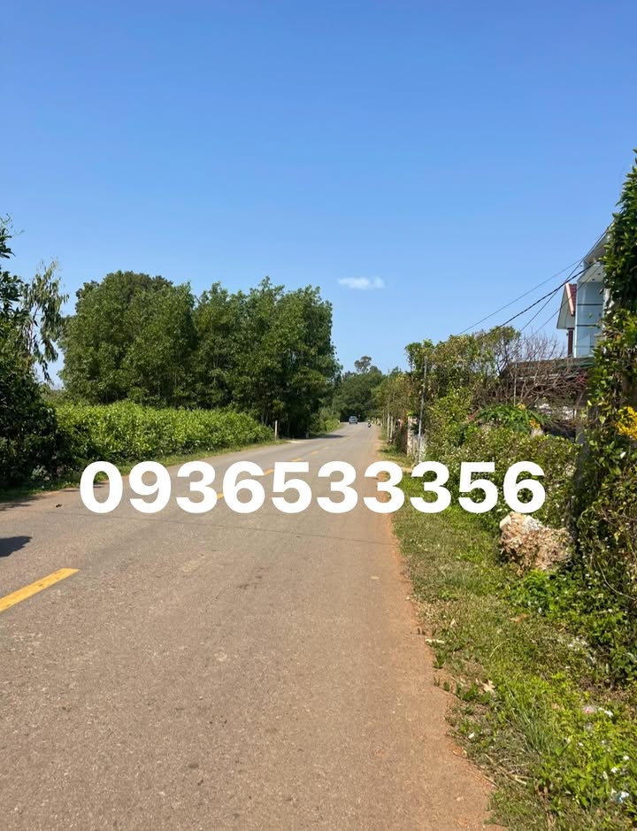 Đất nền Bình Sơn Quảng Ngãi 317m² 1.3 tỷ - Đường to ô tô