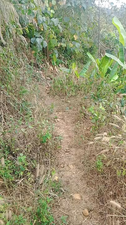 Đất Nền Lộc Bắc Bảo Lâm 2160m² - Giá Đầu Tư 300 Triệu