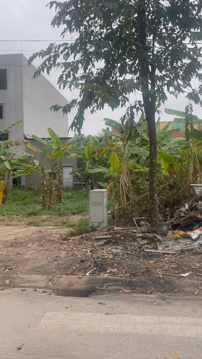 Đất Đấu Giá Mỹ Thái Lạng Giang 90m² Kinh Doanh Tốt - Giá 2.1 Tỷ