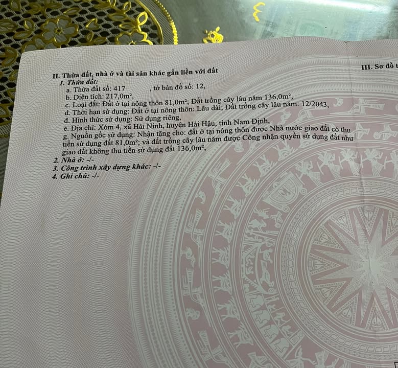 Đất nền Hải Hậu 217m² giá chỉ 600 triệu - Sổ đỏ chính chủ sẵn sàng!