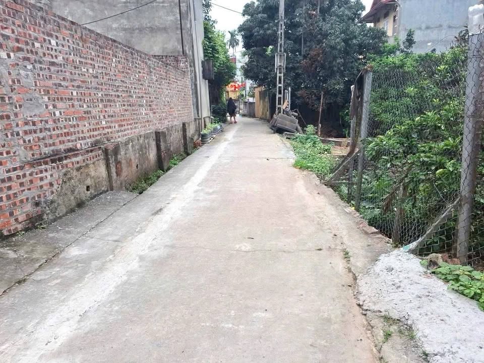 Bán Đất Lô Góc Tam Thuấn, Phúc Thọ - 38m² - Giá Tốt