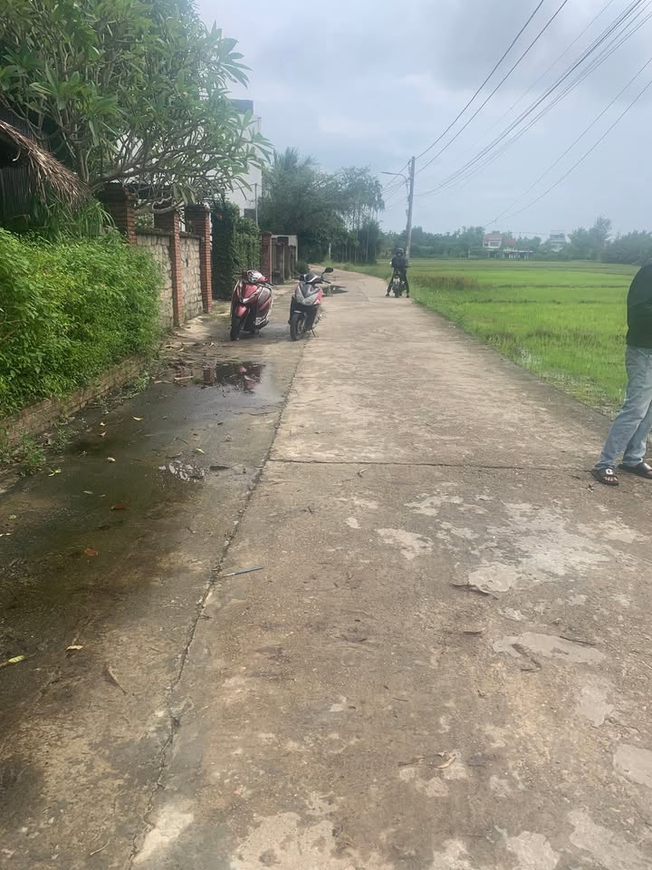 Đất Hội An 415m² View Đồng Lúa Cẩm Thanh - Sẵn Sàng Xây Villa/Homestay