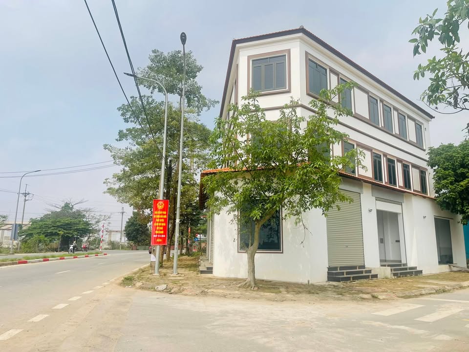 Cho thuê văn phòng Mê Linh 208m² - 2 mặt tiền Ngô Miễn - Vị trí trung tâm!