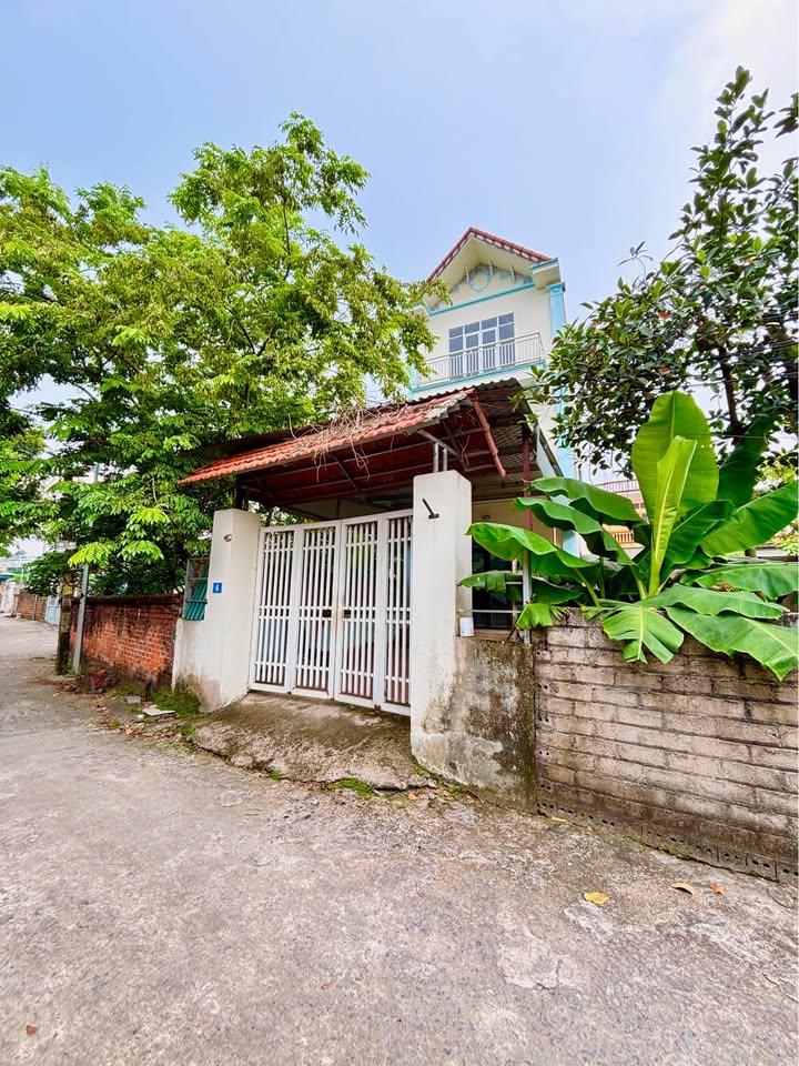 Bán Đất Cổ Đông Sơn Tây 165m² - Sổ Đỏ Chính Chủ - Vị Trí Đắc Địa