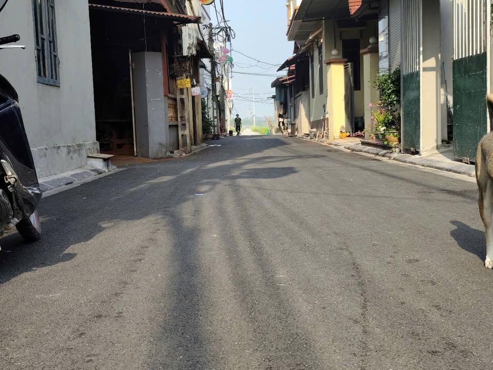 Đất nền Đông Anh 80m² - Sổ đỏ chính chủ, giá tốt đầu tư