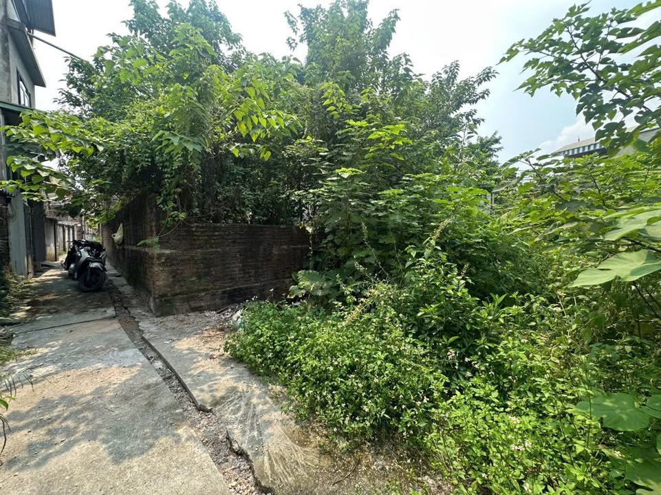 Đất nền Xã Tiên Phương 100m² - Sổ đỏ chính chủ, giá tốt!