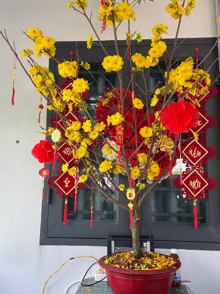 Mặt bằng cho thuê Đường Hà Duy Phiên, Củ Chi 100m² - Mặt tiền kinh doanh!