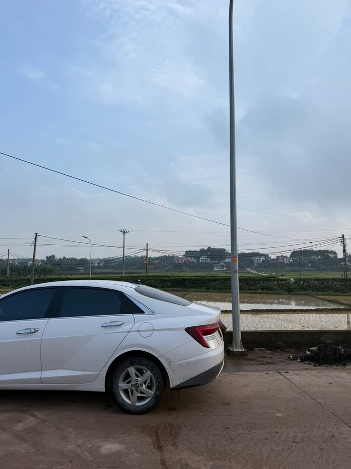 Đất nền Xương Lâm, Lạng Giang 100m² giá 1.6 tỷ - Tiềm năng tăng giá!