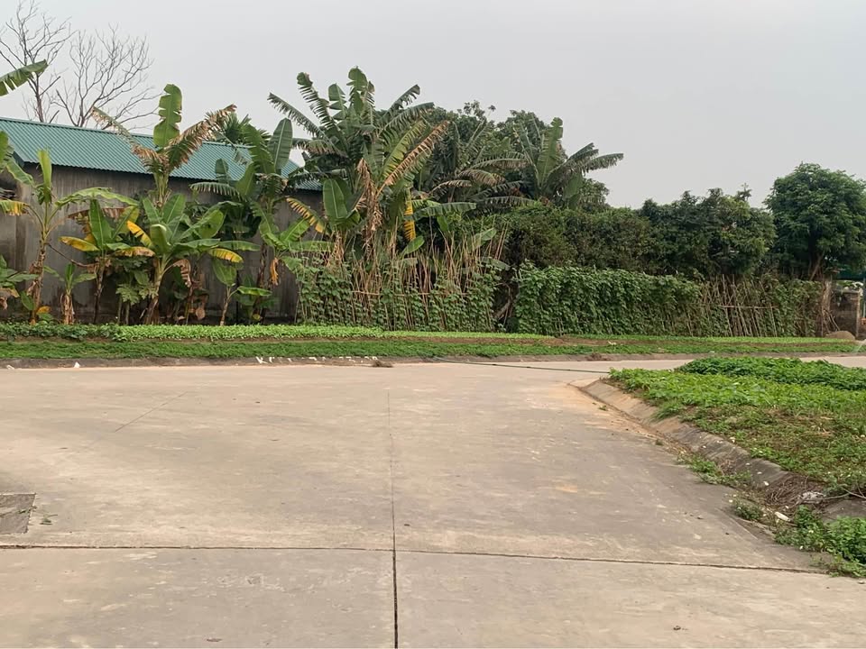 Đất nền Đông Triều 345m² - Sổ đỏ chính chủ, giá đầu tư 4.3 tỷ