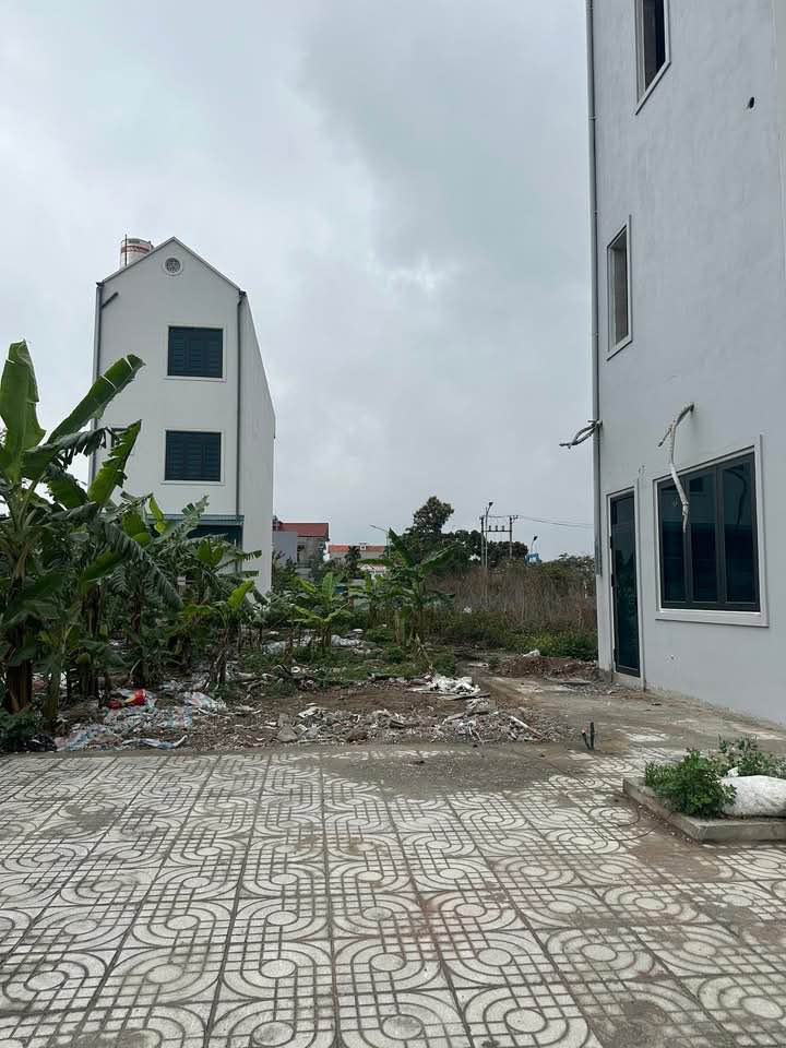 Đất nền Bắc Hà Lan Mạo Khê 82m² 2.2 tỷ - Sổ đỏ chính chủ