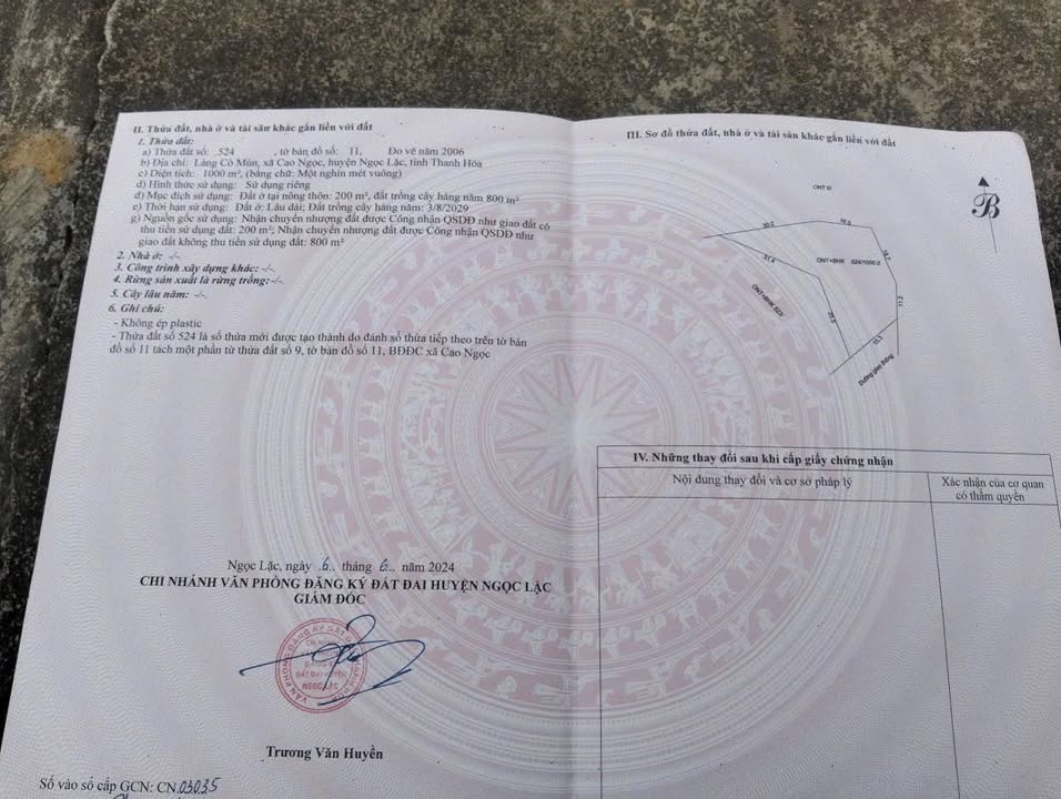 Đất nền Cao Ngọc, Ngọc Lặc 1000m² - Đất thổ cư 200m sẵn sổ!